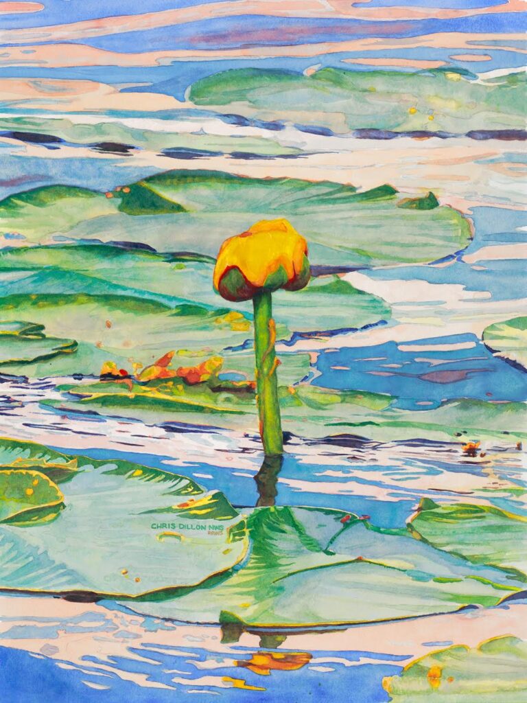 Watercolor painting of Water Lily and Lily pads on lake at sunset